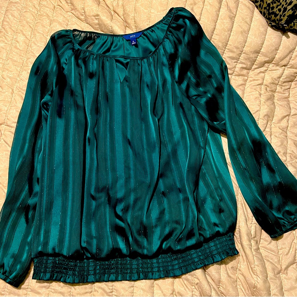 Woman’s Apt 9 XL Green holiday blouse.